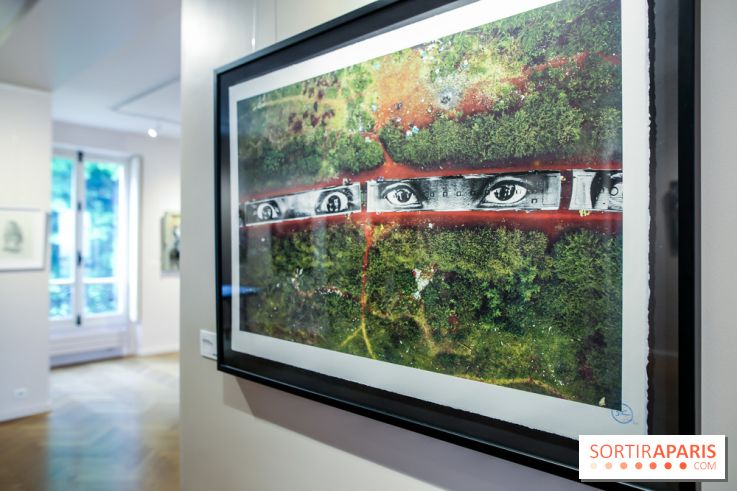 Le Décryptage de l’art de rue, nos photos de l'expo