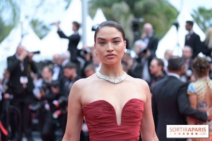 © Rachid Bellak - Cannes 2024 : Cérémonie d'ouverture - BEL 0931