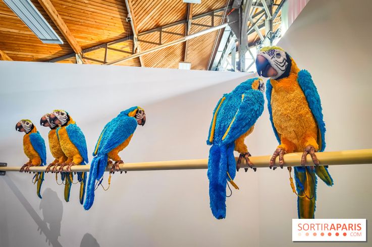 Rayon Jouets, l'exposition ultra ludique du Hangar Y - IMG20240515133341