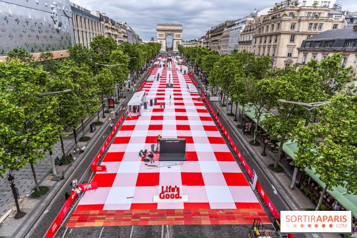 Grand pique nique des Champs-Élysées - photos