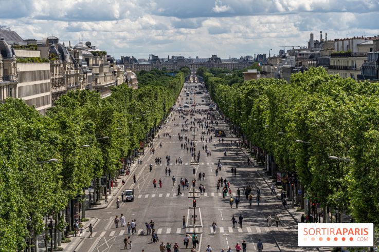 Grand pique nique des Champs-Élysées - photos