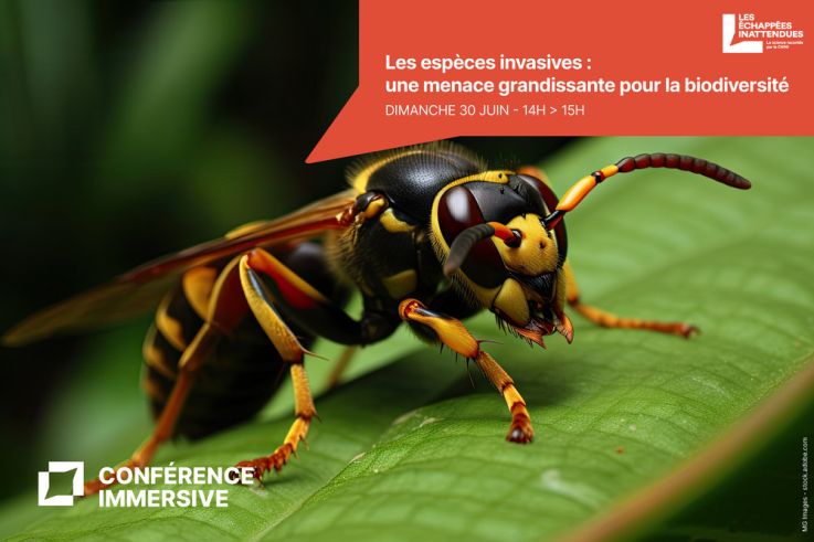 Campagne #33297 - LEI   annonce conférence 1500x1000   espece invasive