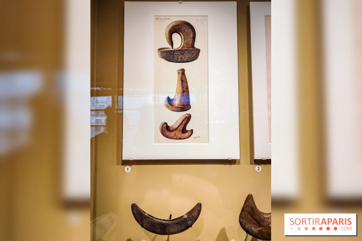 Exposition Taïnos et Kalinagos des Antilles : un voyage fascinant à faire au musée du Quai Branly - IMG20240603153315