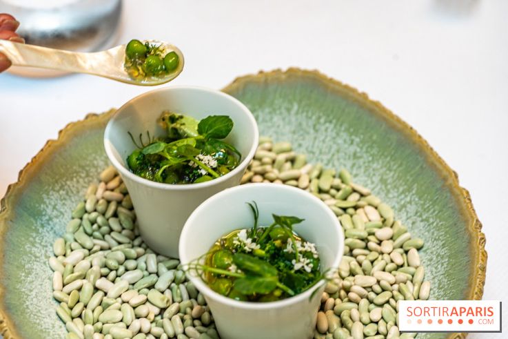 La Scène Thélème, le restaurant étoilé par Rudy Langlais -  A7C5087