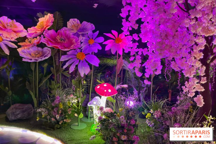 House of Dreamers - IMG 1500