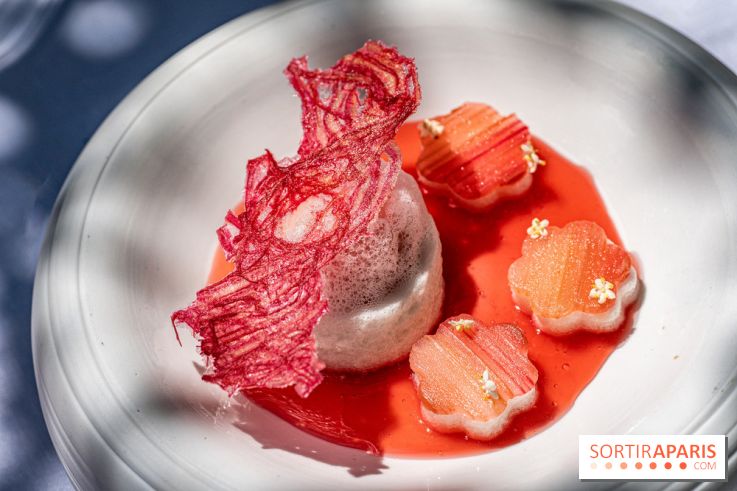 La terrasse jardin Summer de la Bauhinia au Shangri-La Paris -  A7C5658