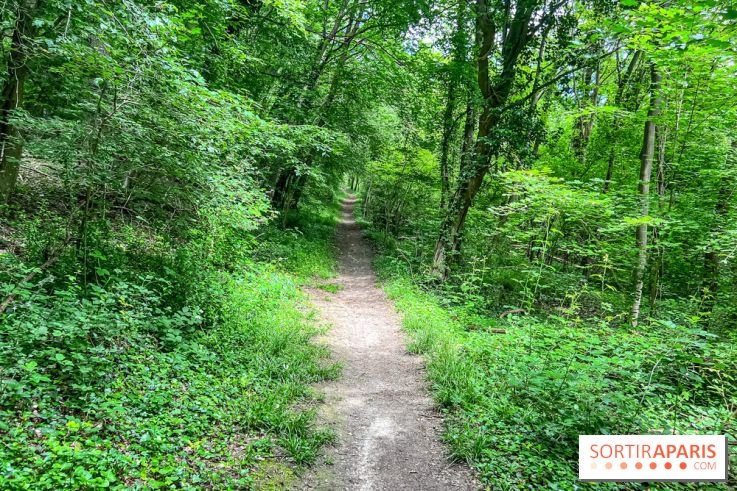 Le kiosque du belvédère de Chatillon à Risny-sur-Seine en Yvelines - IMG 9943
