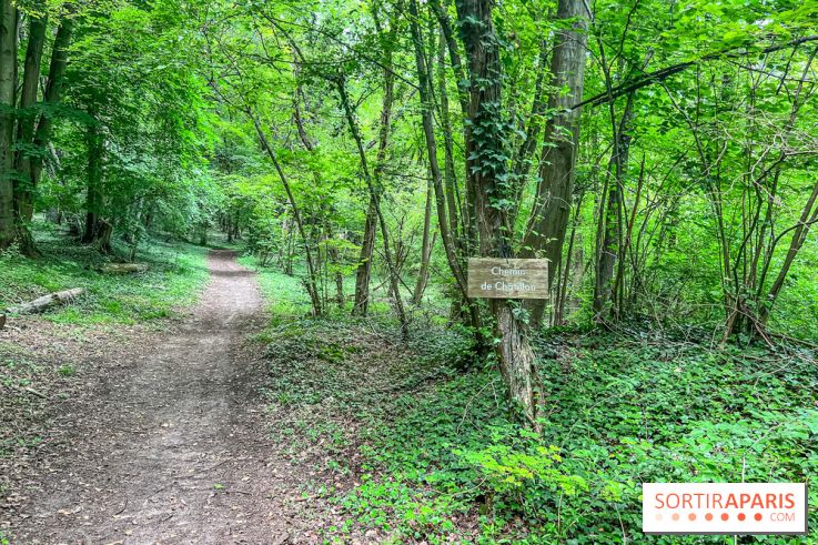 Le kiosque du belvédère de Chatillon à Risny-sur-Seine en Yvelines - IMG 9942