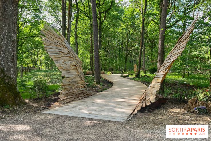 Fauconnier d'un jour - IMG 1370