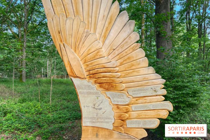 Fauconnier d'un jour - IMG 1374