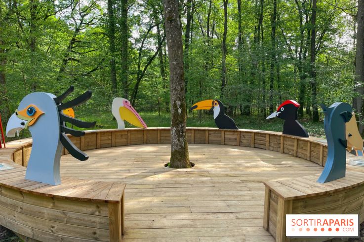 Fauconnier d'un jour - IMG 1383