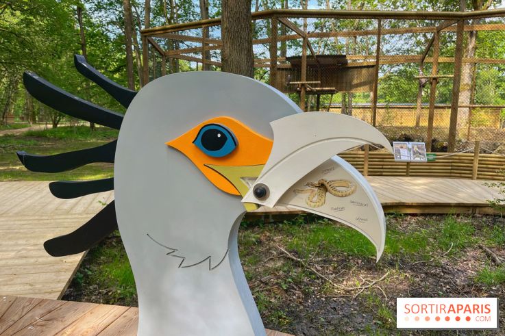 Fauconnier d'un jour - IMG 1384