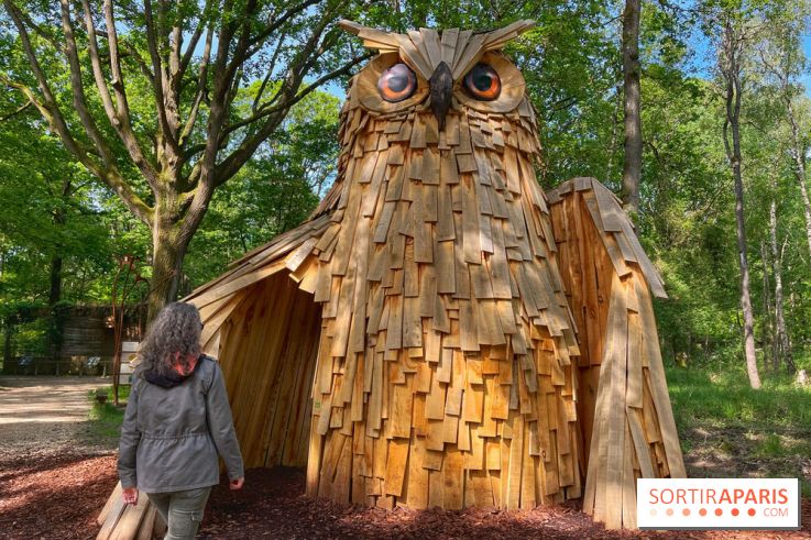 Fauconnier d'un jour - IMG 1397