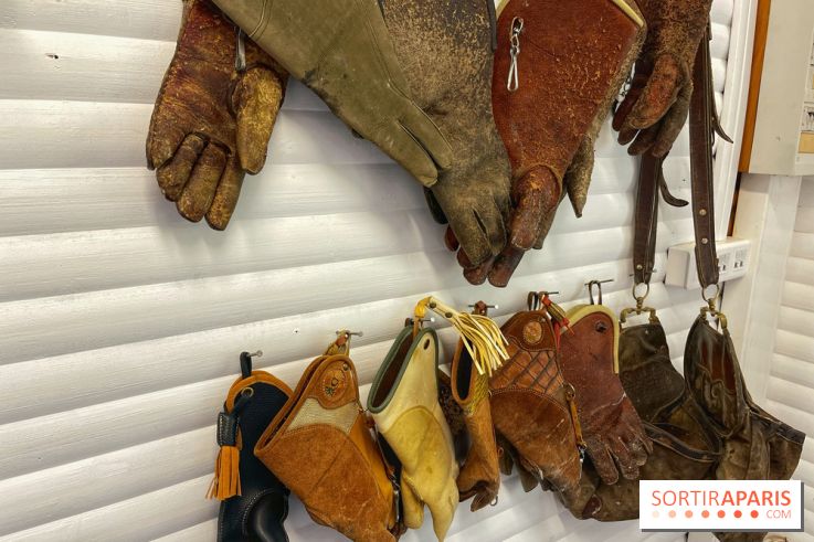 Fauconnier d'un jour - IMG 1414