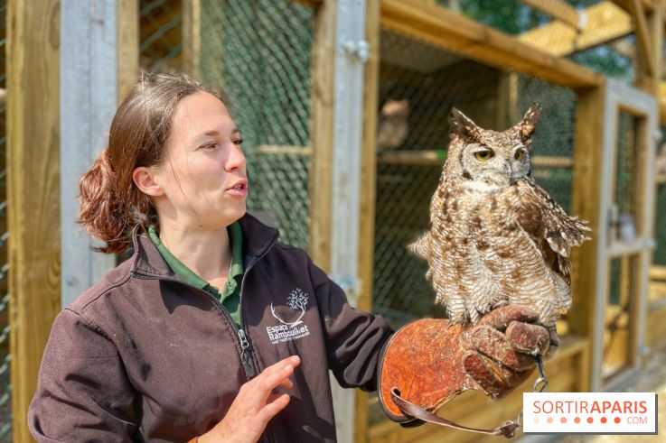 Fauconnier d'un jour - IMG 1415