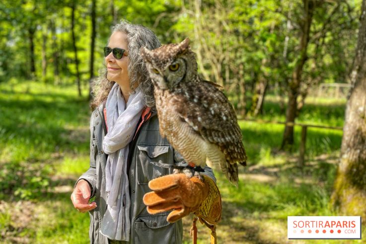 Fauconnier d'un jour - IMG 1420