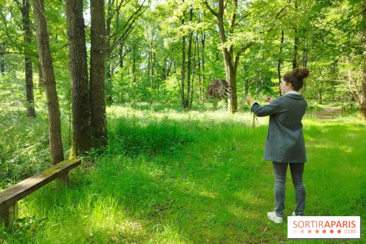 Fauconnier d'un jour - IMG 1429