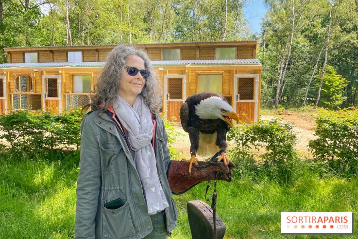 Fauconnier d'un jour - IMG 1444