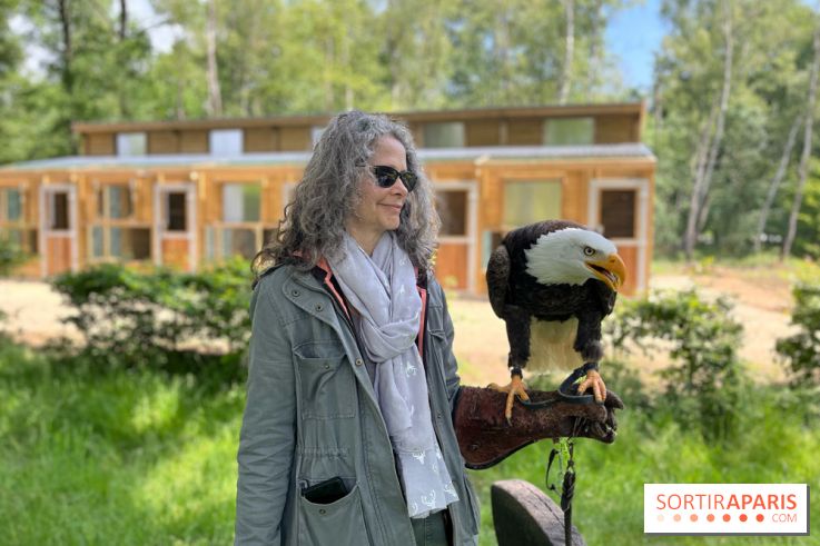 Fauconnier d'un jour - IMG 1445