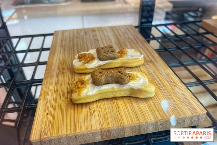 Casa del Doggo - IMG 1591