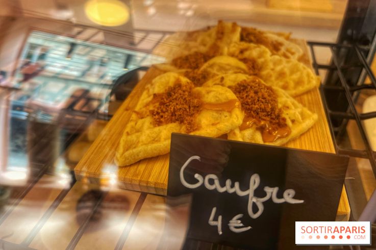 Casa del Doggo - IMG 1592