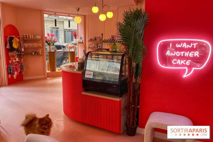 Casa del Doggo - IMG 1599