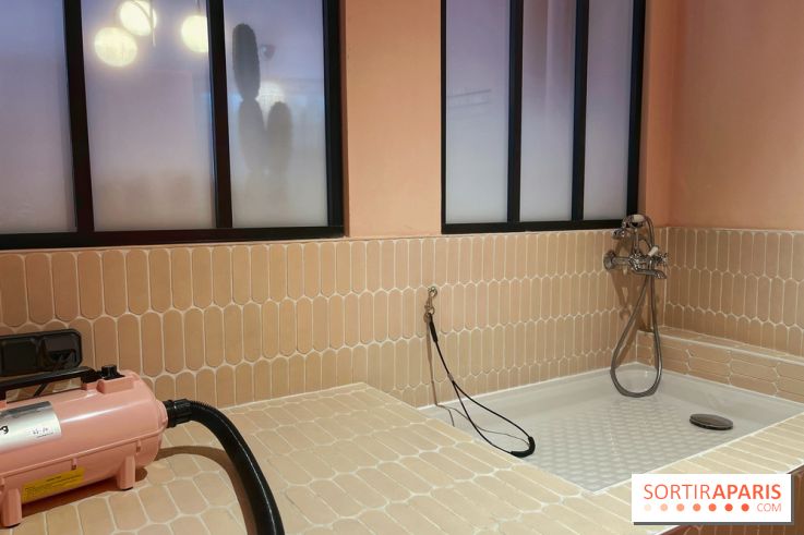 Casa del Doggo - IMG 1601