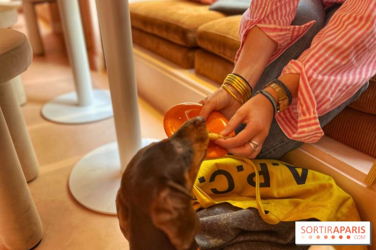 Casa del Doggo - IMG 1619