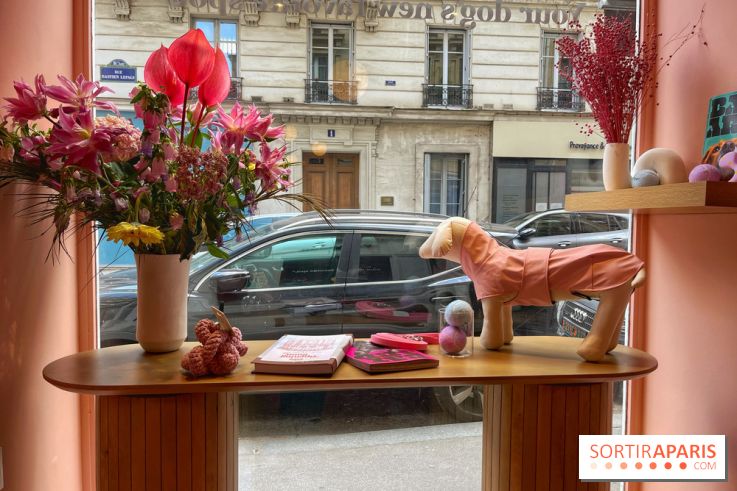 Casa del Doggo - IMG 1621