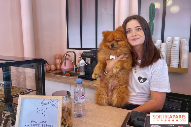 Casa del Doggo