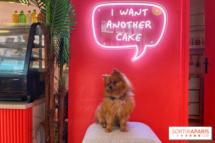 Casa del Doggo - IMG 1642