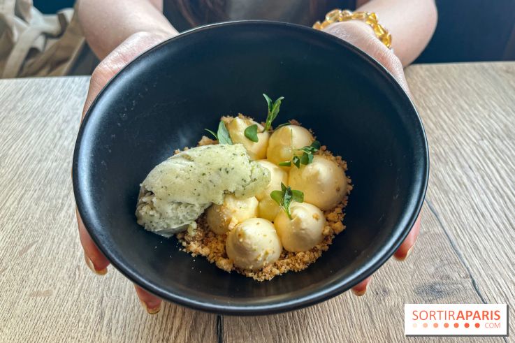 Le chalet des Îles 2024 - nos photos  - image00005