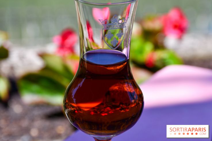 L'Écu de France, un restaurant gastronomique en bord de Marne - DSC 1465