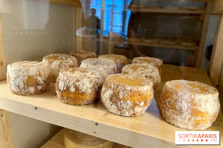 Fromagerie Lyre - Cave d'affinage