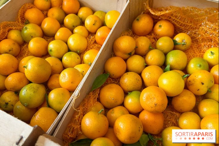 Lemon Story - Agrumes