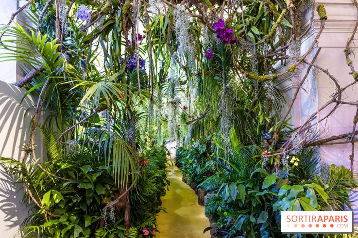 Exposition Paris à l'Hôtel de Ville - les Photos