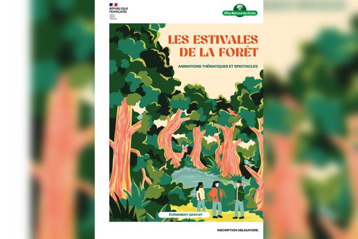 LES ESTIVALES DE LA FORÊT 2024 - Sorties nature et spectacles en forêt - du 01 juin au 28 août | Office national des forêts