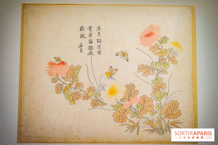 Au cœur de la couleur : l'exposition autour de la porcelaine de Chine au musée Guimet - nos photos - IMG20240611175418