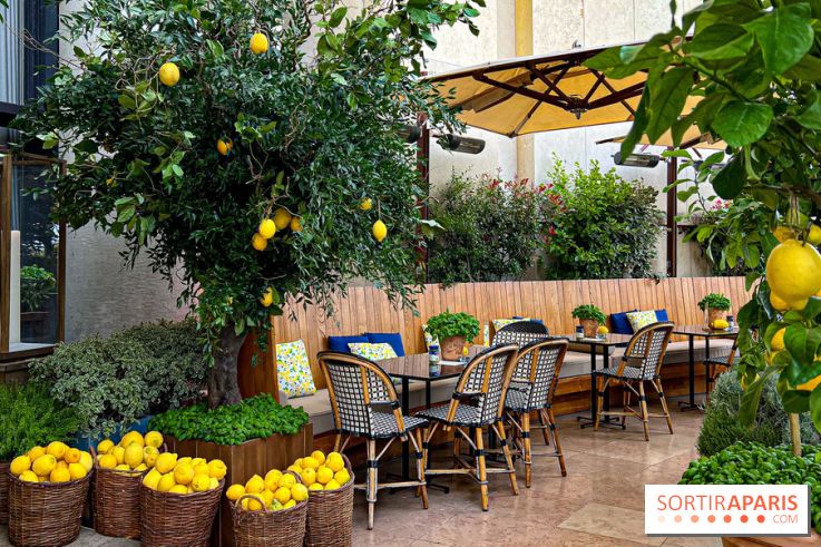 Limonaia Urbana - masterclasses et dégustations à l'italienne au Café de l'Homme