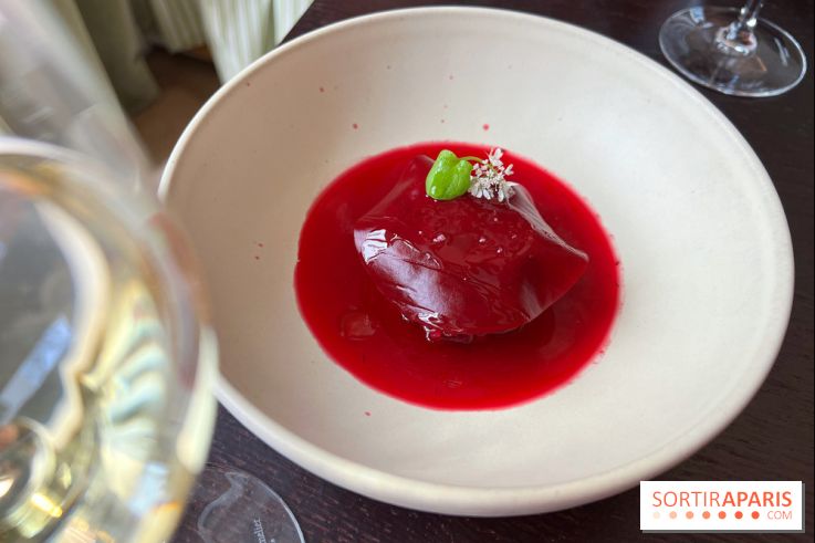 Matka - Bortsch glacé