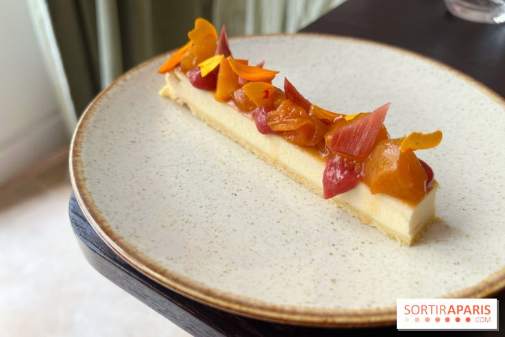 Matka - Cheesecake rhubarbe