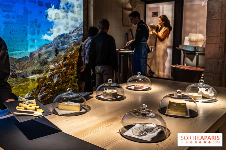 Musée du Fromage à Paris, les photos -  A7C6696