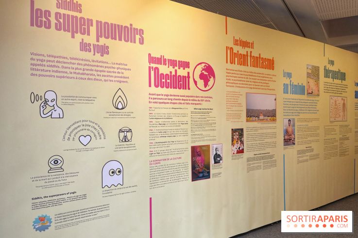 Maitre Yoga - IMG 1856