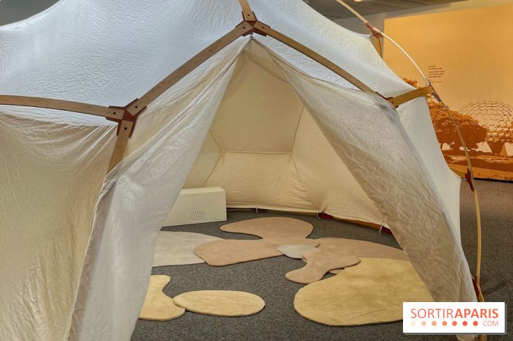 Maitre Yoga - IMG 4333