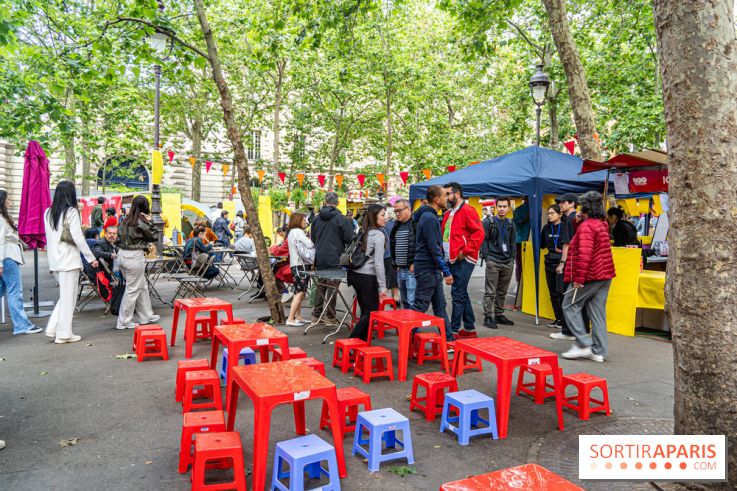 Ici Vietnam Festival à Paris - photos  -  A7C6947
