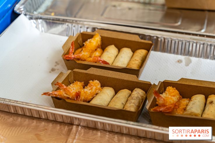 Ici Vietnam Festival à Paris - photos  -  A7C6980