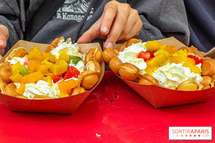 Ici Vietnam Festival à Paris - photos  - IMG 0102