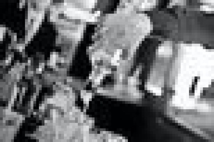 Joseph Biolatto : cocktails session au bar le Forvm (vidéo)