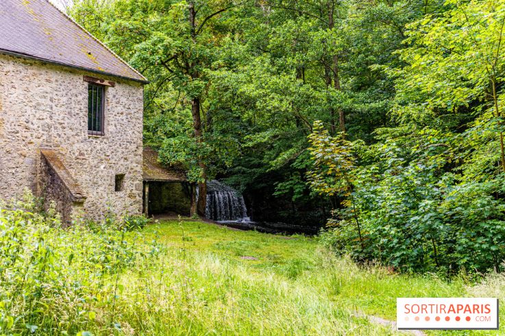 Le restaurant du Petit Moulin des Vaux de Cernay - Oléum Papa, le restaurant culturel -  A7C7052