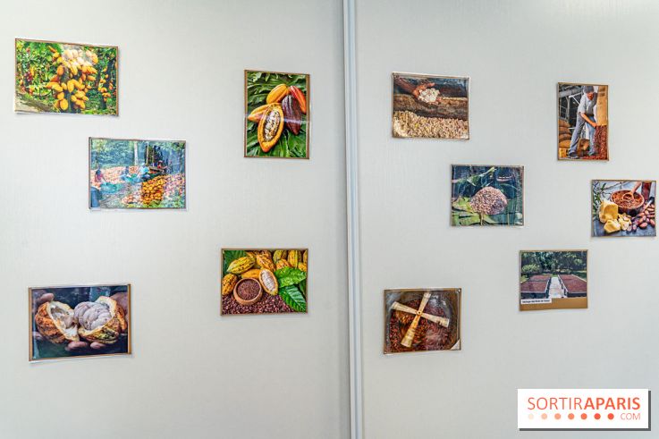 Läderach Opéra, la boutique de chocolats suisse  -  A7C6264